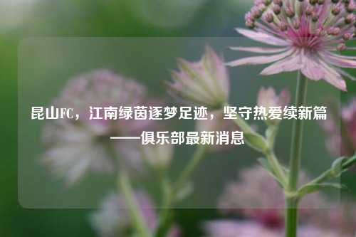 昆山FC，江南绿茵逐梦足迹，坚守热爱续新篇——俱乐部最新消息