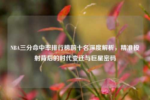 NBA三分命中率排行榜前十名深度解析，精准投射背后的时代变迁与巨星密码