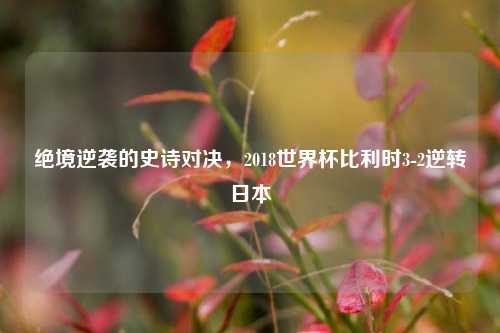 绝境逆袭的史诗对决，2018世界杯比利时3-2逆转日本