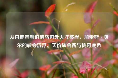 从白鹿巷到伯纳乌再赴大洋彼岸，加雷斯·贝尔的转会沉浮、天价转会费与传奇底色