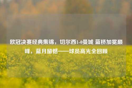 欧冠决赛经典集锦，切尔西1-0曼城 蓝桥加冕巅峰，蓝月留憾——球员高光全回顾