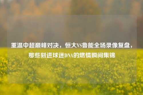 重温中超巅峰对决，恒大VS鲁能全场录像复盘，那些刻进球迷DNA的燃情瞬间集锦