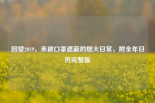 回望2019，未被口罩遮蔽的烟火日常，附全年日历完整版