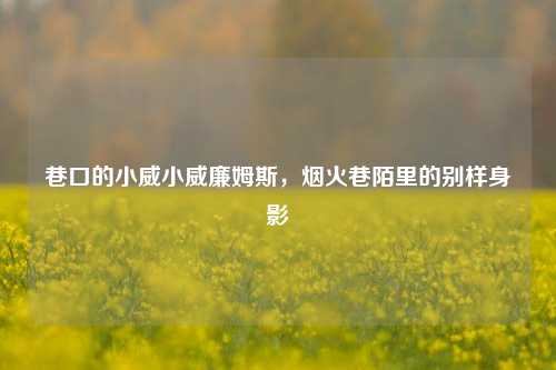 巷口的小威小威廉姆斯，烟火巷陌里的别样身影
