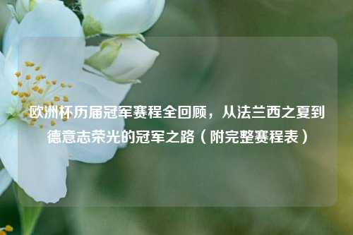 欧洲杯历届冠军赛程全回顾，从法兰西之夏到德意志荣光的冠军之路（附完整赛程表）
