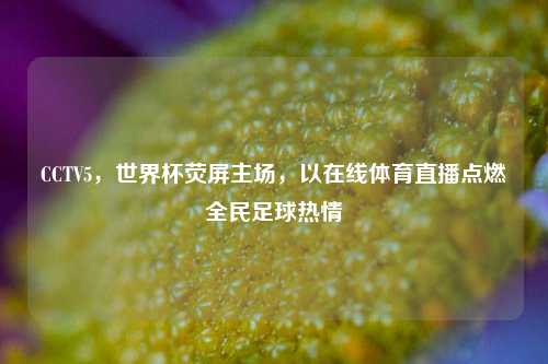 CCTV5,世界杯荧屏主场,以在线体育直播点燃全民足球热情