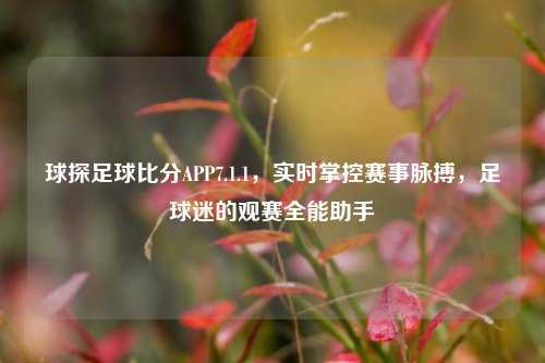 球探足球比分APP7.1.1，实时掌控赛事脉搏，足球迷的观赛全能助手