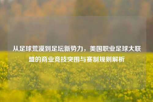 从足球荒漠到足坛新势力，美国职业足球大联盟的商业竞技突围与赛制规则解析