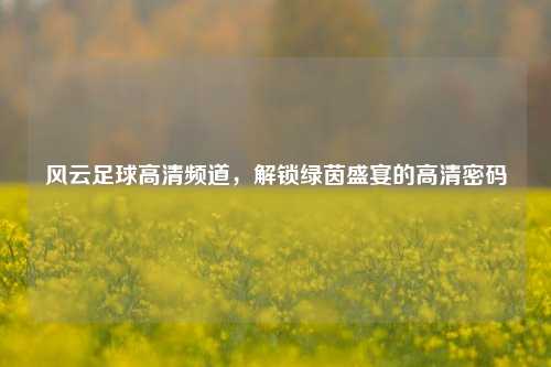风云足球高清频道，解锁绿茵盛宴的高清密码