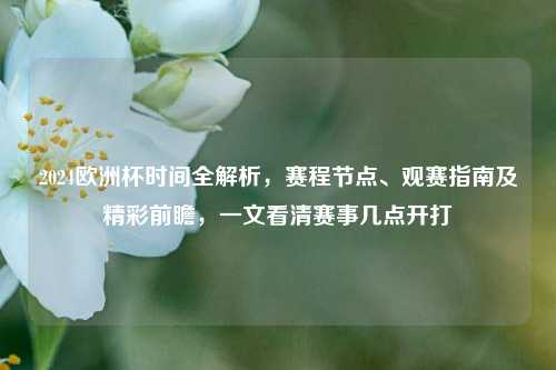 2024欧洲杯时间全解析,赛程节点、观赛指南及精彩前瞻,一文看清赛事几点开打