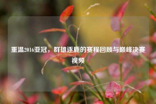 重温2016亚冠,群雄逐鹿的赛程回顾与巅峰决赛视频