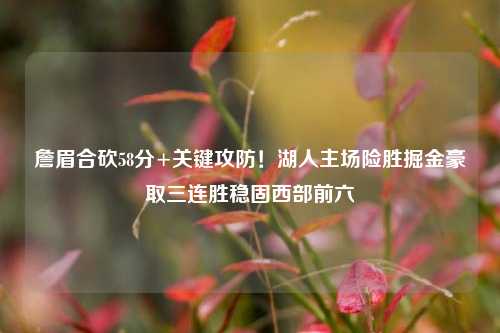 詹眉合砍58分+关键攻防！湖人主场险胜掘金豪取三连胜稳固西部前六