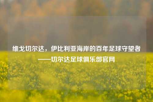 维戈切尔达，伊比利亚海岸的百年足球守望者——切尔达足球俱乐部官网