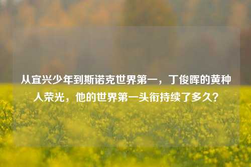 从宜兴少年到斯诺克世界第一，丁俊晖的黄种人荣光，他的世界第一头衔持续了多久？