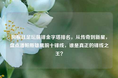 阿根廷足坛前锋金字塔排名，从传奇到新星，盘点潘帕斯雄鹰前十锋线，谁是真正的锋线之王？