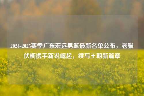2024-2025赛季广东宏远男篮最新名单公布，老骥伏枥携手新锐崛起，续写王朝新篇章