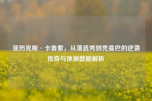 亚历克斯·卡鲁索，从落选秀到秃曼巴的逆袭传奇与体测数据解析