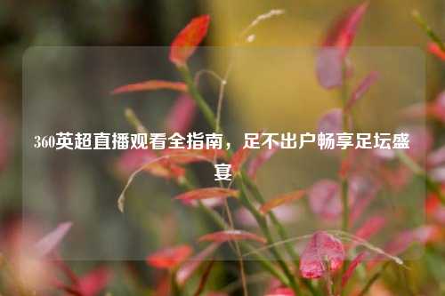 360英超直播观看全指南,足不出户畅享足坛盛宴