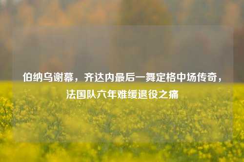 伯纳乌谢幕，齐达内最后一舞定格中场传奇，法国队六年难缓退役之痛