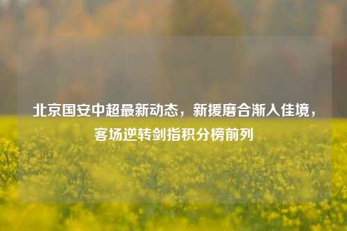 北京国安中超最新动态，新援磨合渐入佳境，客场逆转剑指积分榜前列