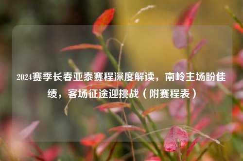 2024赛季长春亚泰赛程深度解读，南岭主场盼佳绩，客场征途迎挑战（附赛程表）