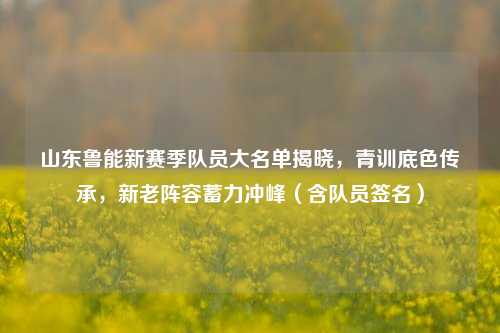 山东鲁能新赛季队员大名单揭晓，青训底色传承，新老阵容蓄力冲峰（含队员签名）