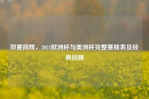 双赛同辉，2021欧洲杯与美洲杯完整赛程表及经典回顾