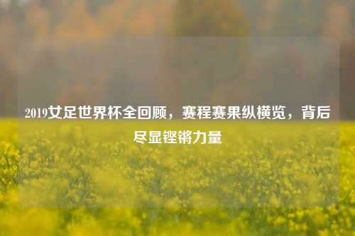 2019女足世界杯全回顾，赛程赛果纵横览，背后尽显铿锵力量
