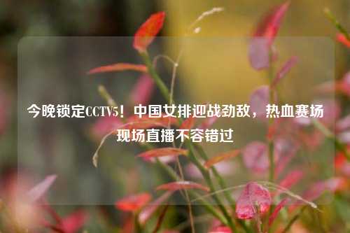 今晚锁定CCTV5！中国女排迎战劲敌，热血赛场现场直播不容错过
