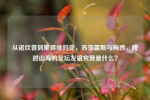 从诺坎普到蒙得维的亚,苏亚雷斯与梅西,跨越山海的足坛友谊究竟是什么?