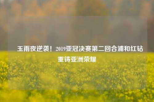 埼玉雨夜逆袭！2019亚冠决赛第二回合浦和红钻重铸亚洲荣耀
