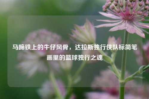 马蹄铁上的牛仔风骨，达拉斯独行侠队标简笔画里的篮球独行之魂