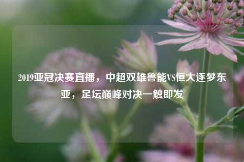 2019亚冠决赛直播，中超双雄鲁能VS恒大逐梦东亚，足坛巅峰对决一触即发