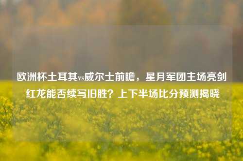欧洲杯土耳其vs威尔士前瞻,星月军团主场亮剑 红龙能否续写旧胜?上下半场比分预测揭晓