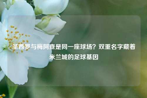 圣西罗与梅阿查是同一座球场？双重名字藏着米兰城的足球基因