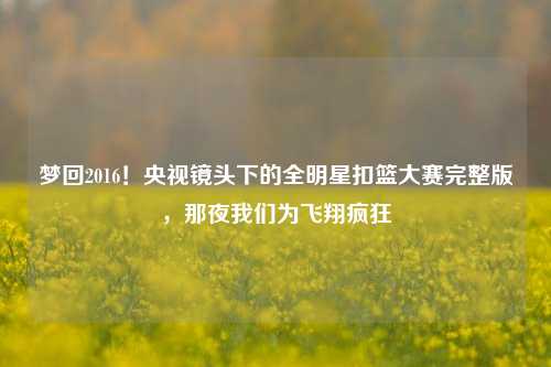 梦回2016！央视镜头下的全明星扣篮大赛完整版，那夜我们为飞翔疯狂