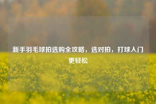 新手羽毛球拍选购全攻略，选对拍，打球入门更轻松