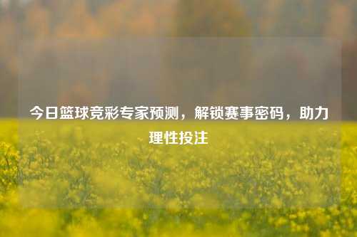 今日篮球竞彩专家预测，解锁赛事密码，助力理性投注