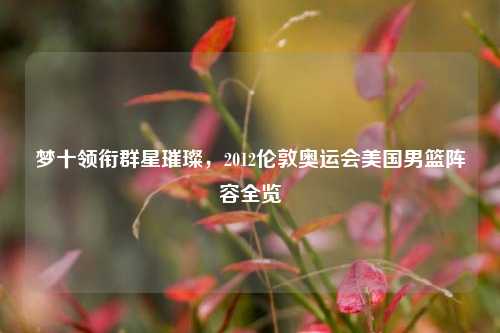 梦十领衔群星璀璨，2012伦敦奥运会美国男篮阵容全览
