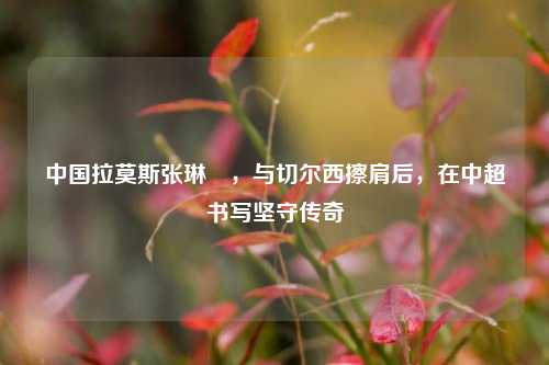 中国拉莫斯张琳芃，与切尔西擦肩后，在中超书写坚守传奇