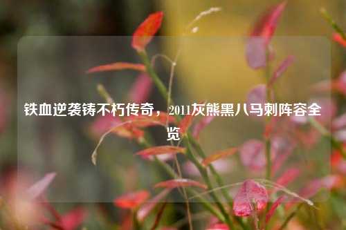 铁血逆袭铸不朽传奇，2011灰熊黑八马刺阵容全览