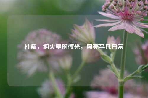 杜婧,烟火里的微光,照亮平凡日常