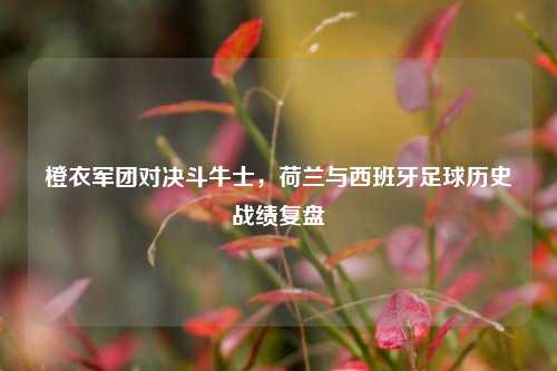橙衣军团对决斗牛士,荷兰与西班牙足球历史战绩复盘