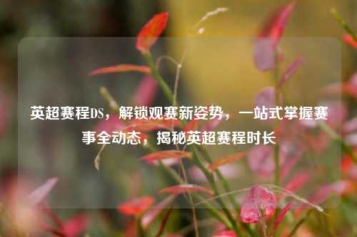 英超赛程DS,解锁观赛新姿势,一站式掌握赛事全动态,揭秘英超赛程时长