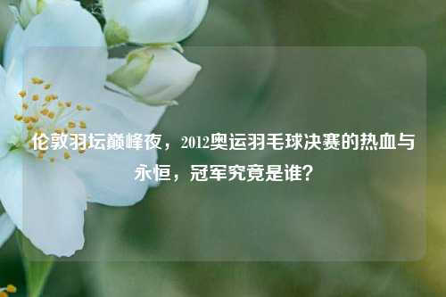 伦敦羽坛巅峰夜，2012奥运羽毛球决赛的热血与永恒，冠军究竟是谁？