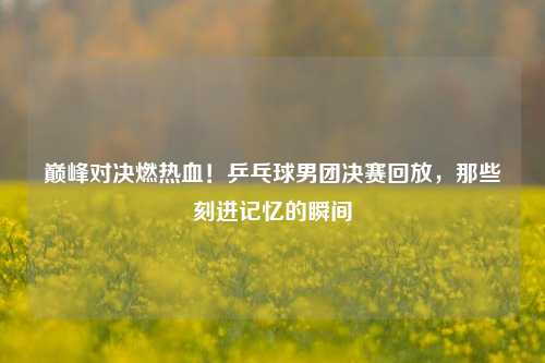 巅峰对决燃热血!乒乓球男团决赛回放,那些刻进记忆的瞬间