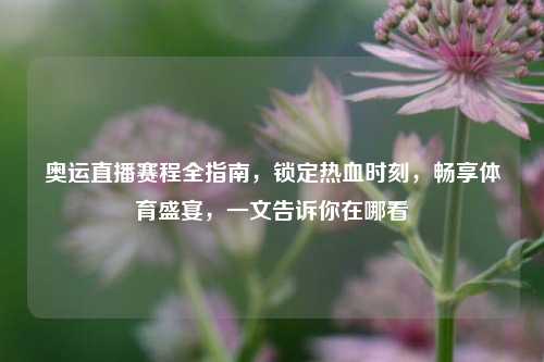 奥运直播赛程全指南，锁定热血时刻，畅享体育盛宴，一文告诉你在哪看