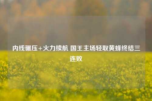 内线碾压+火力续航 国王主场轻取黄蜂终结三连败