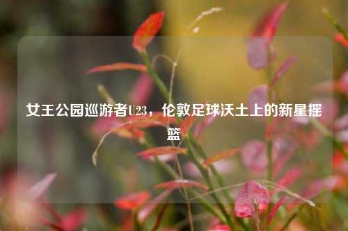 女王公园巡游者U23，伦敦足球沃土上的新星摇篮