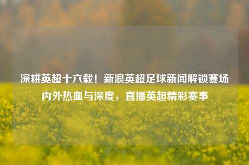 深耕英超十六载！新浪英超足球新闻解锁赛场内外热血与深度，直播英超精彩赛事